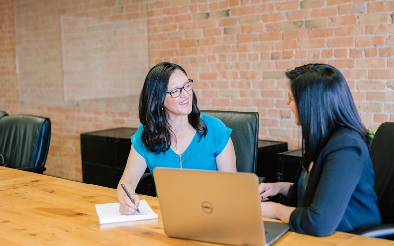 Two professionals in a customer meeting